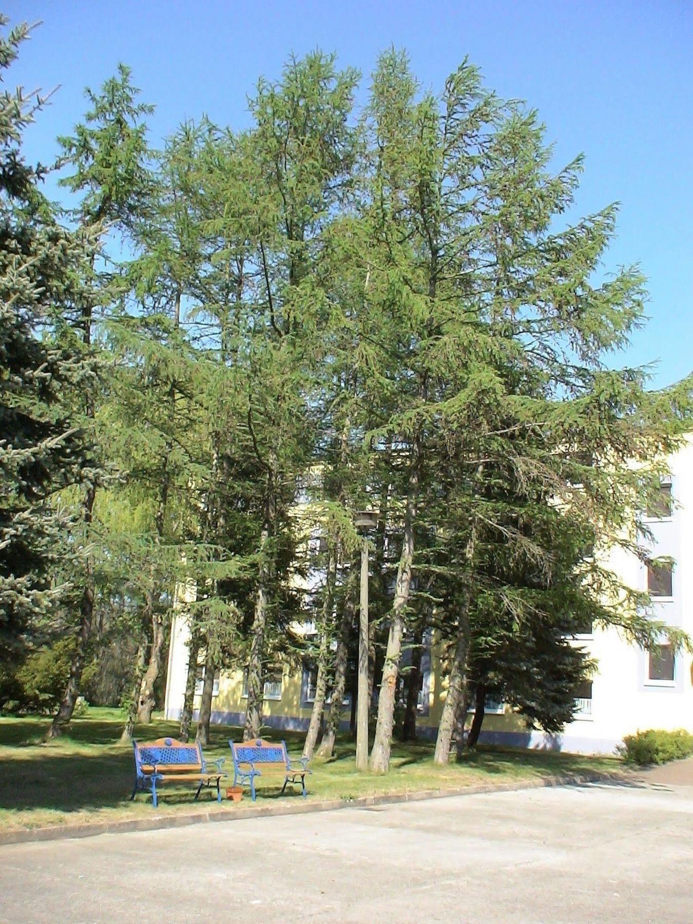 Hotel Mukran Sassnitz Eksteriør bilde
